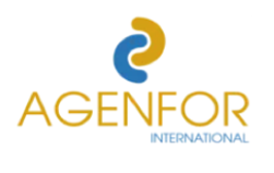 Fondazione Agenfor International